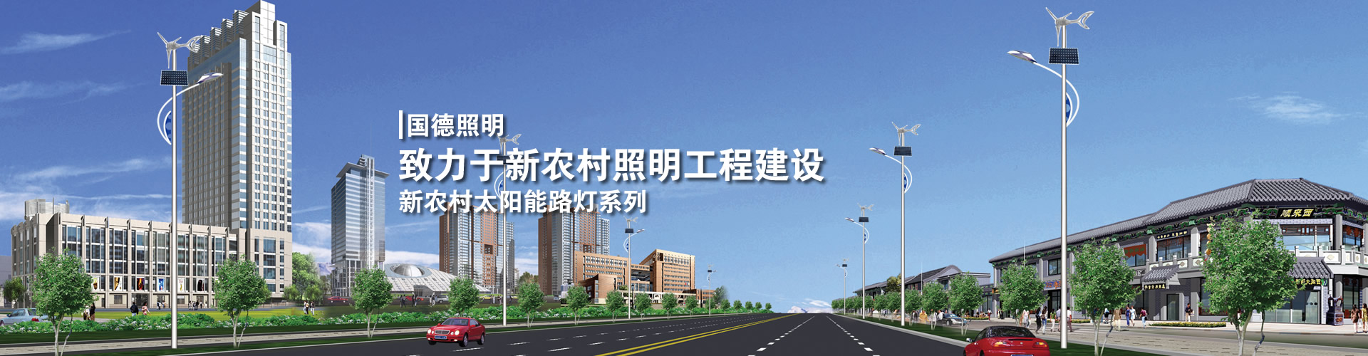 新農(nóng)村太陽(yáng)能路燈系列