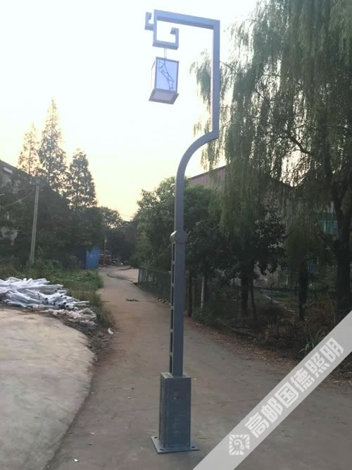 ͷ¹ş